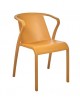 Coloris Mustard