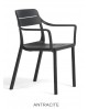 Coloris Anthracite